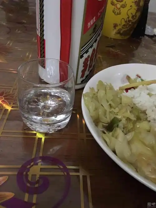 晚上喝茅台镇庆祝下新疆天业明天大涨[胜利]茅台就白菜越喝越有[大笑]