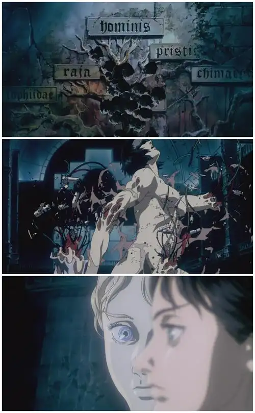 攻壳机动队厉害了我的少佐