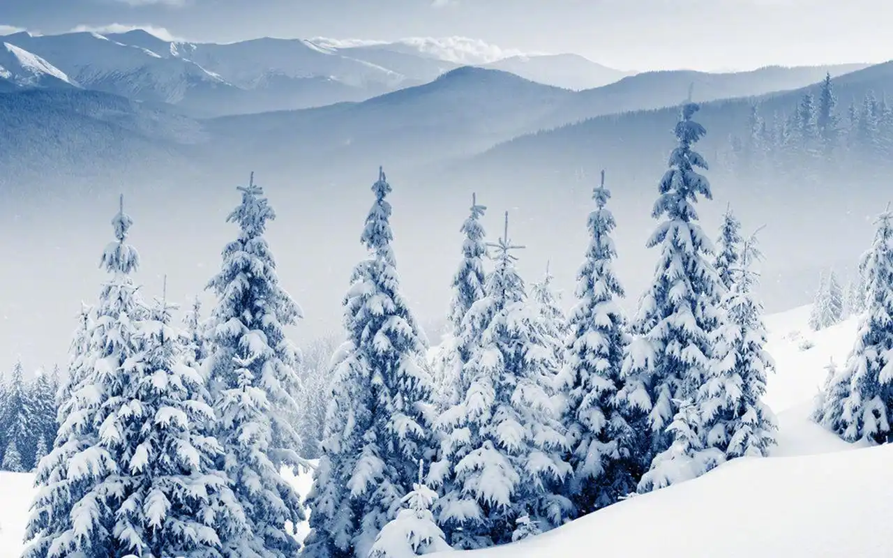 冬日唯美雪景图片电脑壁纸高清大图预览1920x1200_风景壁纸下载_美桌