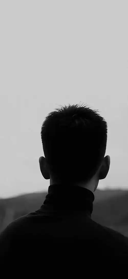 【高清壁纸】没睡的,进来投个票?