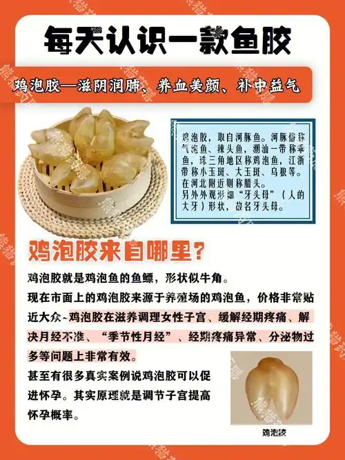 入门级鱼胶鸡泡胶