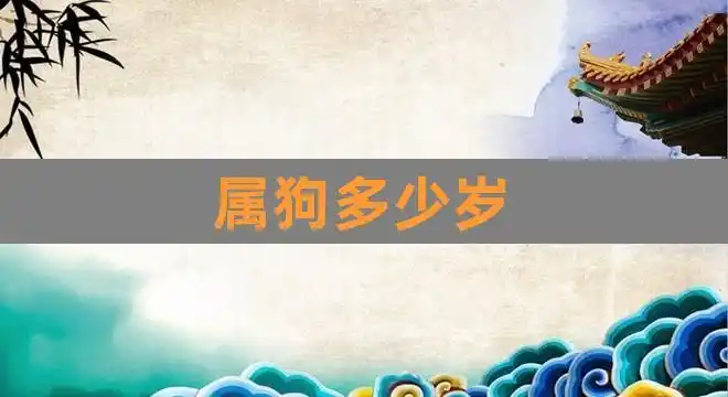 属狗多少岁(1994年属狗2021年运势)