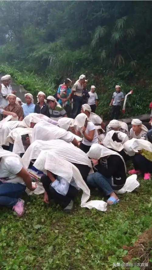 按中国的传统,老人去世,整个葬礼的流程是怎样的,第9张