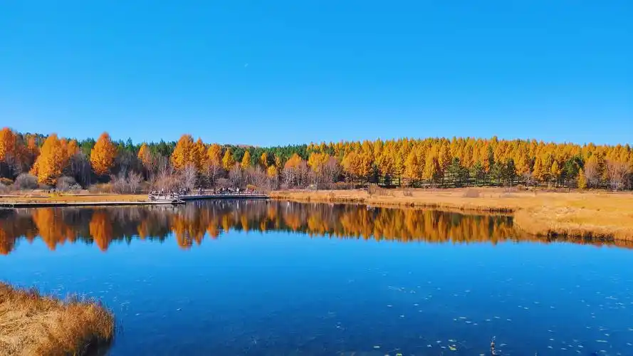 观秋(明月湖诗刊2020年第16期/总第41期)