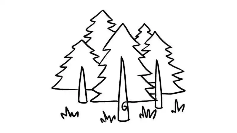 幼儿森林公园简笔画雨中森林幼儿简笔画儿童简笔画森林树