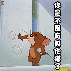 和老鼠你是不是有其他猫了生气soogifsoogif出品gif动图_动态图_表情