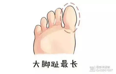 脚趾长短看命运,四种脚趾看你是富是穷?你是哪一种!