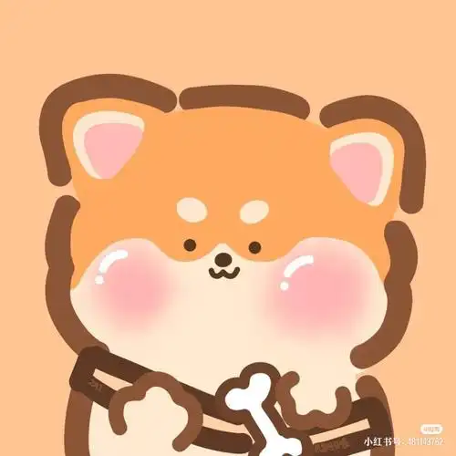 头像注:图片来源于小红书