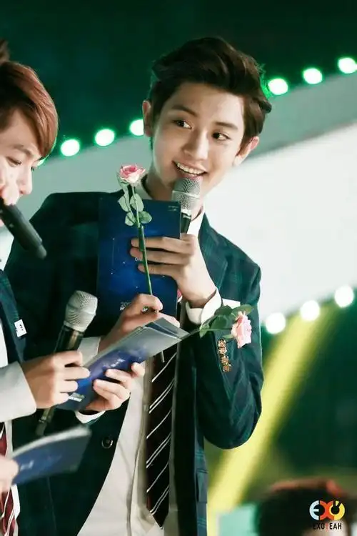 exo成员灿烈伯贤手中拿的花是什么花?求介绍