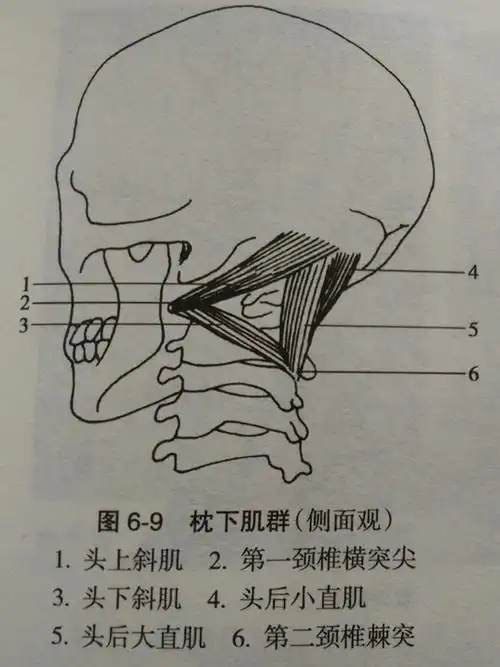 枕项部肌肉损伤多伴有哪些临床症状