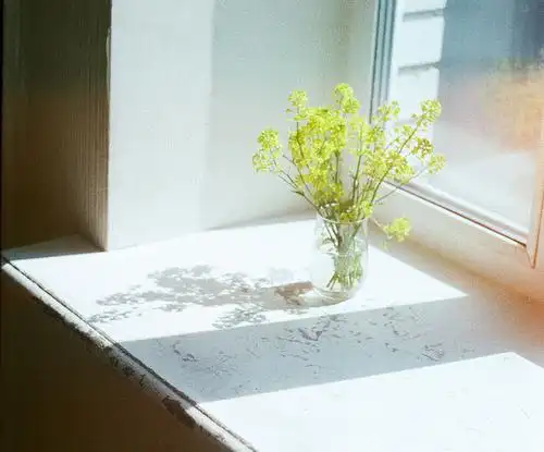 一些静物图片_惬意宁静的生活