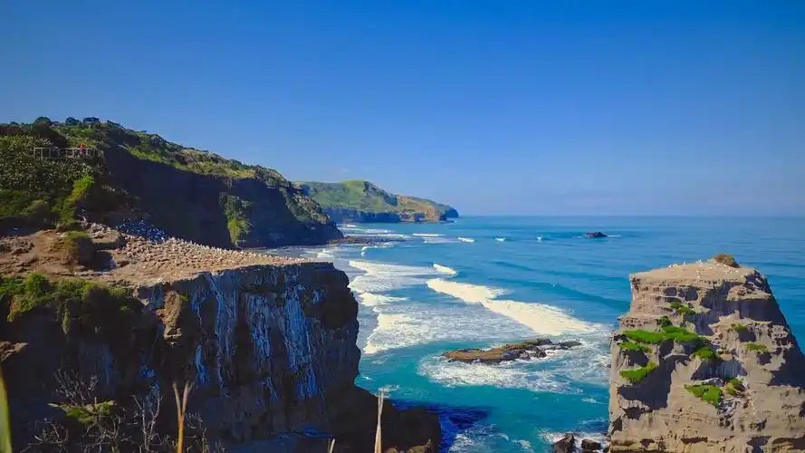新西兰鸟岛黑沙滩风景图片桌面壁纸