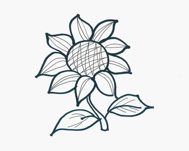 儿童1一9岁美术 好看简笔画向日葵怎么画99巧艺网