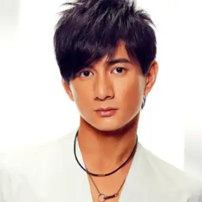 台湾十大70后男演员排行榜:林志颖为不老男神,苏有朋上榜-排行榜123网