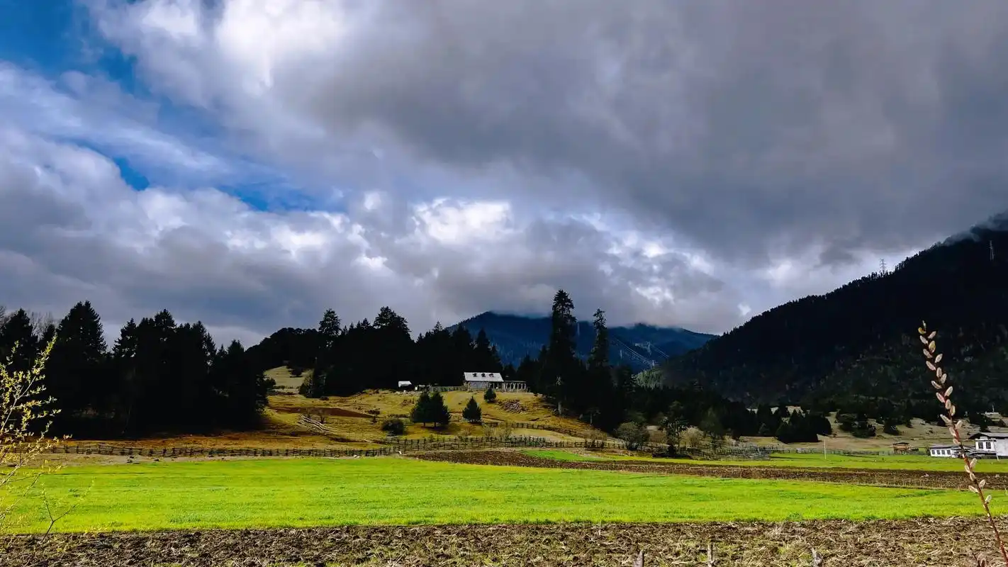 这是一片典型高原山地草甸狭长地带,两侧青山由低往高 - 抖音