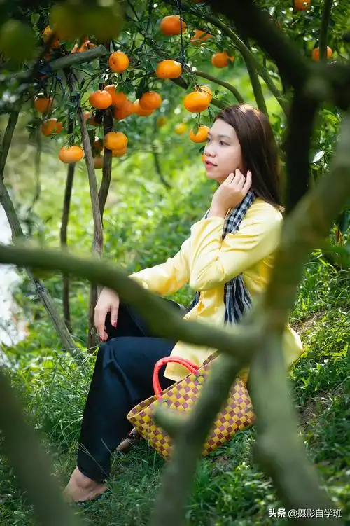 帮你在秋季拍摄的时候摄影秋天可以拍摄的主题