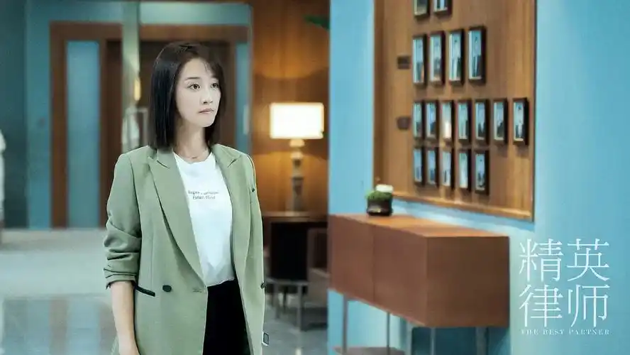 精英律师电视剧在线免费(《精英律师》不严谨,靳东剧中废话太多,蓝
