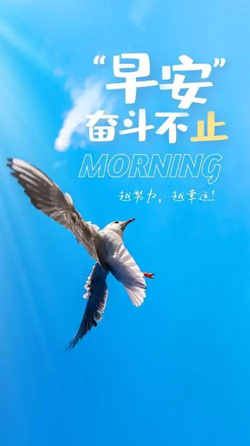 幽默励志文案配图(搞笑文案配图片)