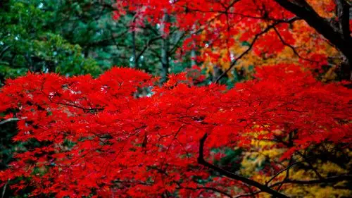 高清锁屏风景,高清图片,电脑桌面-壁纸族