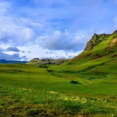 清新绿色风景头像绿色辽阔的草原风景图片