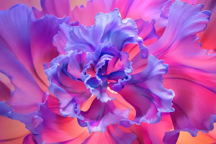 有matebook的官方壁纸吗? - 第3页 - 应用华为主题 花粉俱乐部