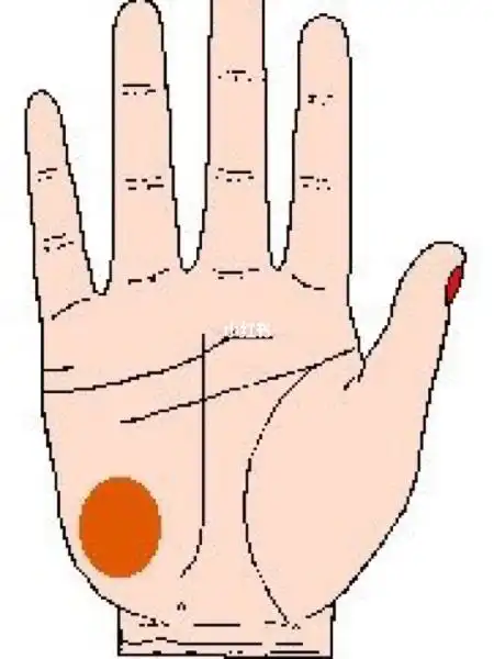 手相算命月丘突出 月丘突出的人情感比较丰富,容易被人感动,也容易多