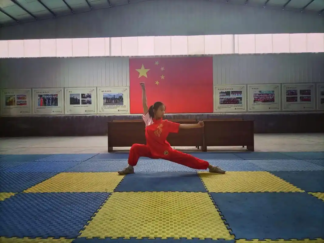 五势是梅花拳门内公认的标志性动作招式,攻防变 - 抖音