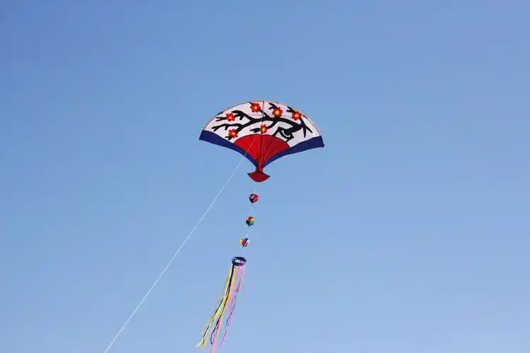 602019梅花扇子风筝儿童卡通中小型风筝线轮套餐520礼物29米格子布