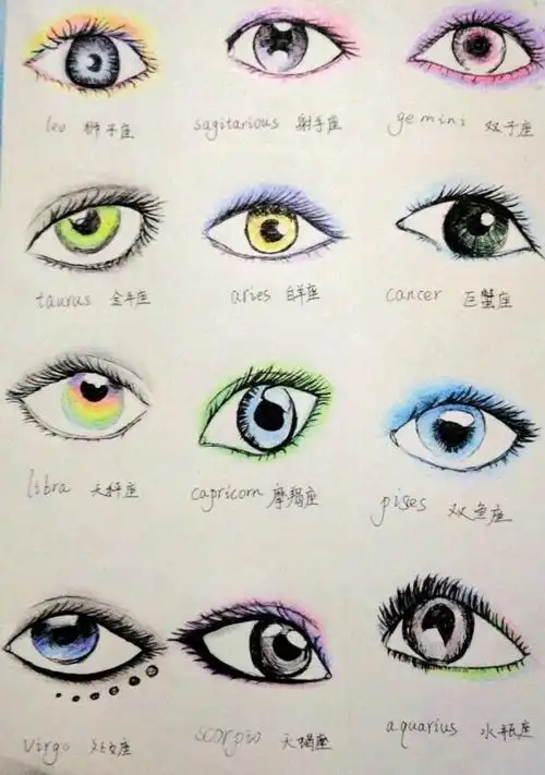 十二星座眼睛大全