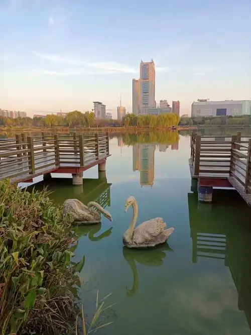 坐标阜宁白天鹅公园图册静静浮在水里的石雕白天鹅大鹏展翅飞进夕阳里