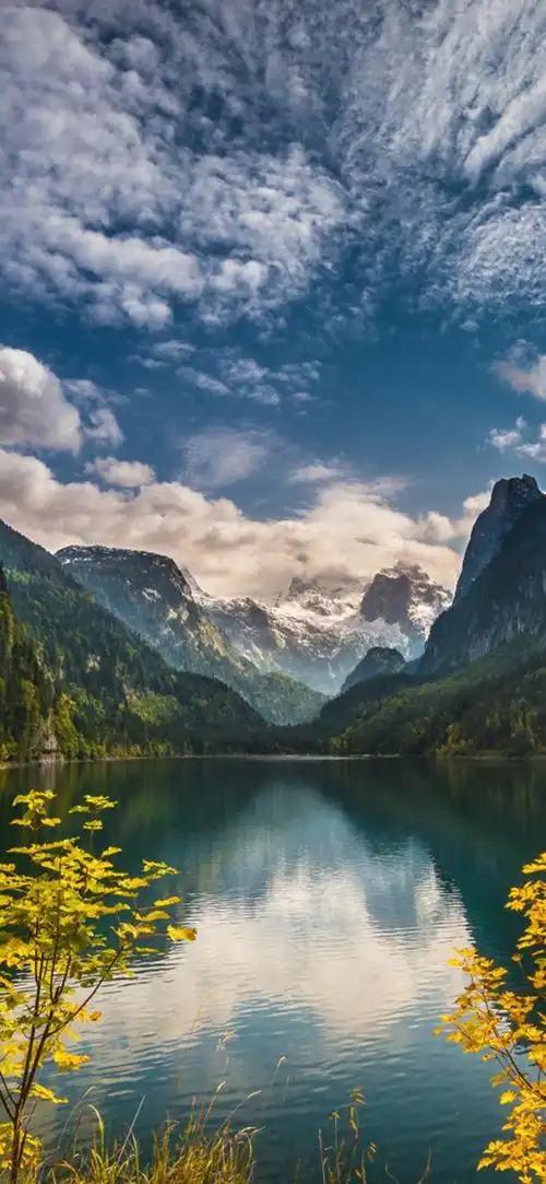 1080_2340竖版 竖屏