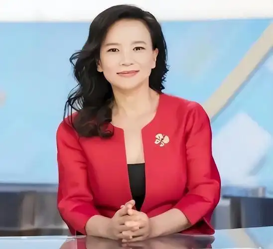 成蕾作为央视财经频道的主持人,已经在这个岗位上工作了近20年,她外表