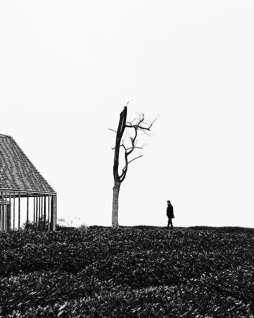 标签 :  手机摄影小米手机风景vsco黑白摄影黑白孤独