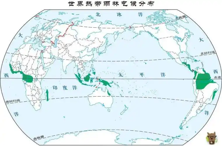 热带雨林气候,大自然的馈赠与诅咒_世界_亚马孙_植物