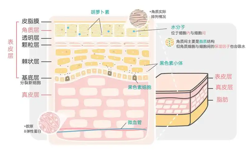 美白全攻略1皮肤怎样看起来更白