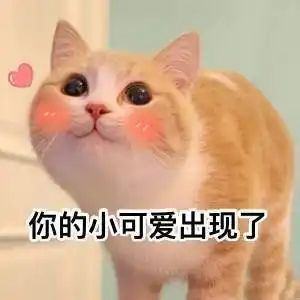 你的小可爱出现了(猫咪)_小可爱_猫咪_出现表情