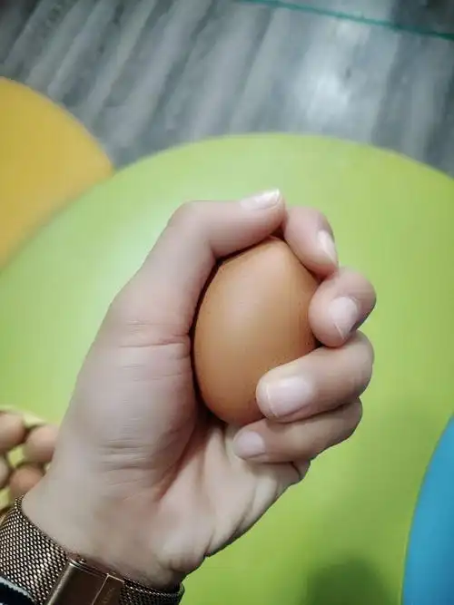 红缨幼儿园《果果班》科学小实验——鸡蛋壳有多硬(压力)