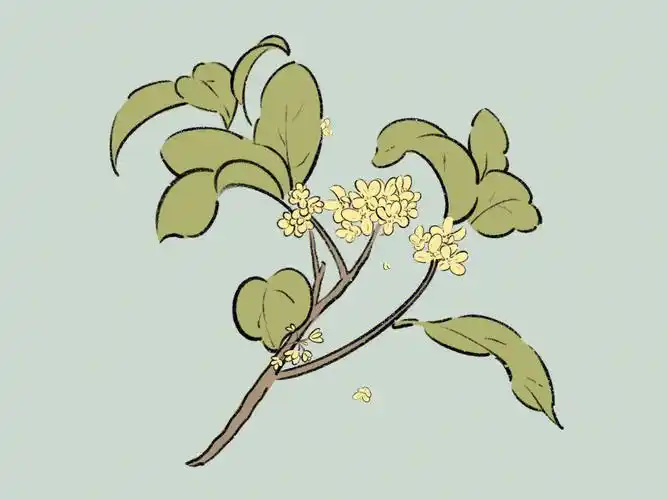 桂花  #立秋  #中秋节  #简笔画  #黑板报  #手抄报  #画个简笔画