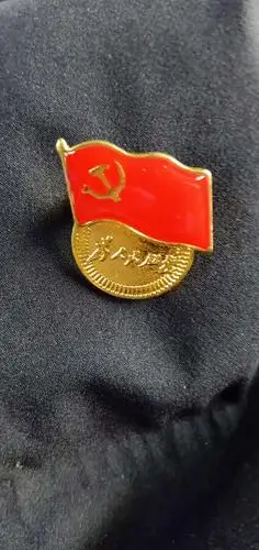 愿党徽更加闪亮!