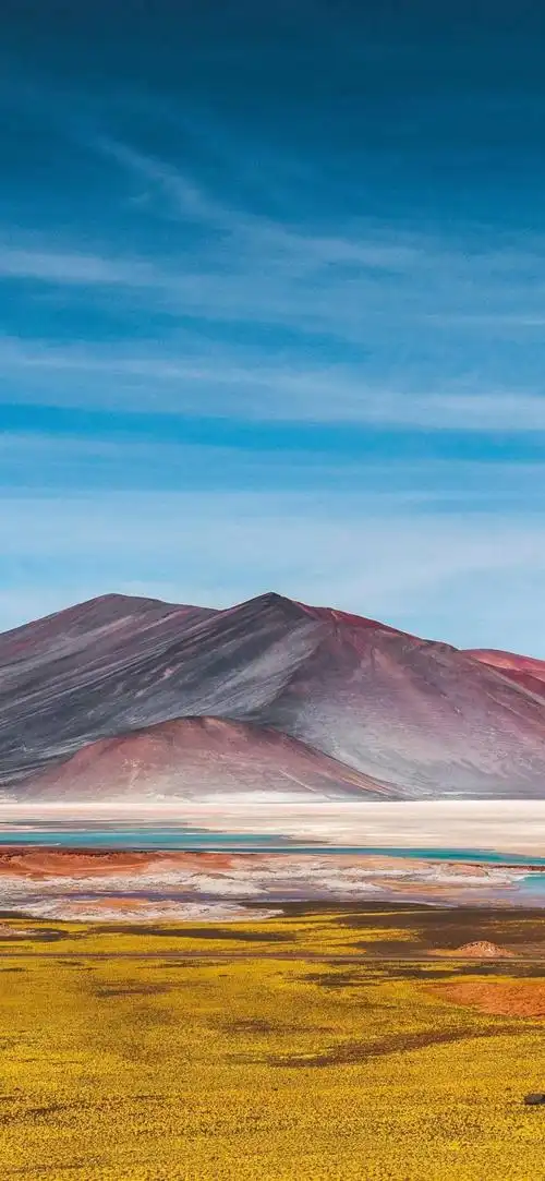 1080_2340竖版 竖屏