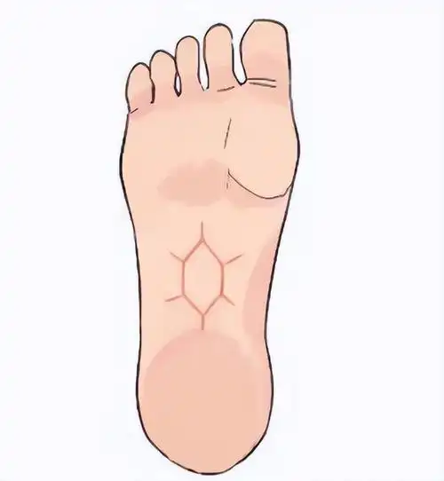 若双脚发出这4个信号,最好及时做个肝功检查|胆红素|肝功能|血液_网易