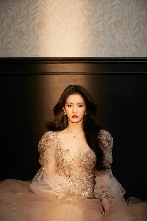 刘些宁宫廷风造型