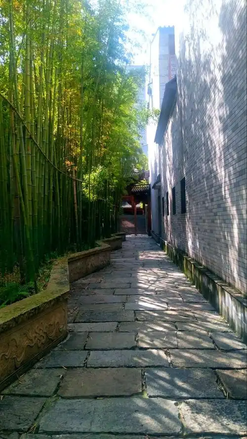 江南小院――龙潭水乡