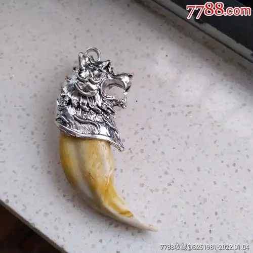 虎牙熊牙吊坠挂件牙动物牙齿霸气饰品辟邪保平安