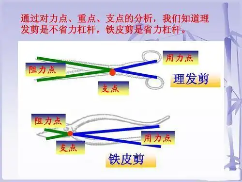指甲刀那个是最有意思的,里面含有的杠杆有几个部分,要仔细观察,弄懂