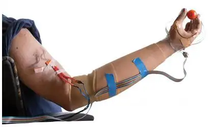 新型义肢实现精确控制让义肢变真手