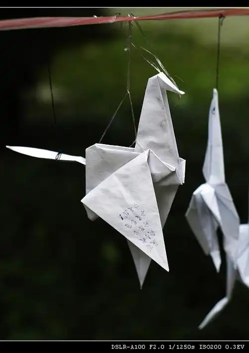 > [分享]521上海,最后的公祭日