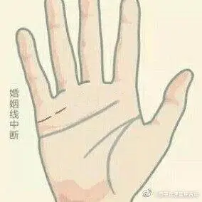 容易二婚的手相算命:婚姻线断开,形成两条婚姻线人的婚姻线代表的是其