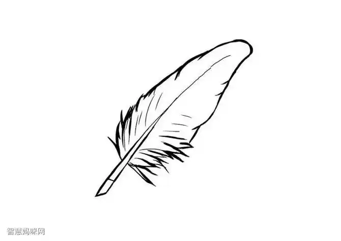 一根鸡毛笔简笔画
