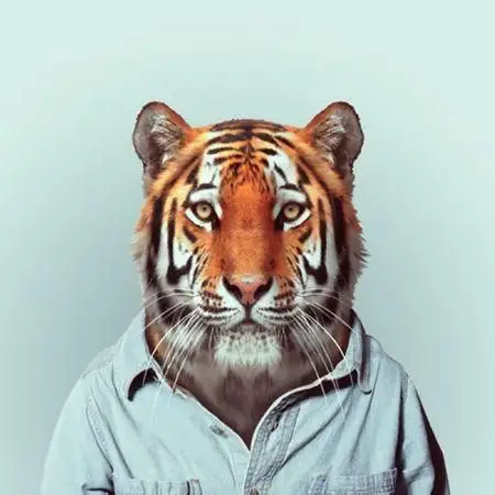 穿西装的动物头像